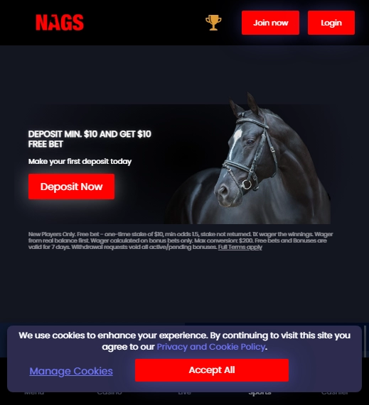 NagsBet Casino